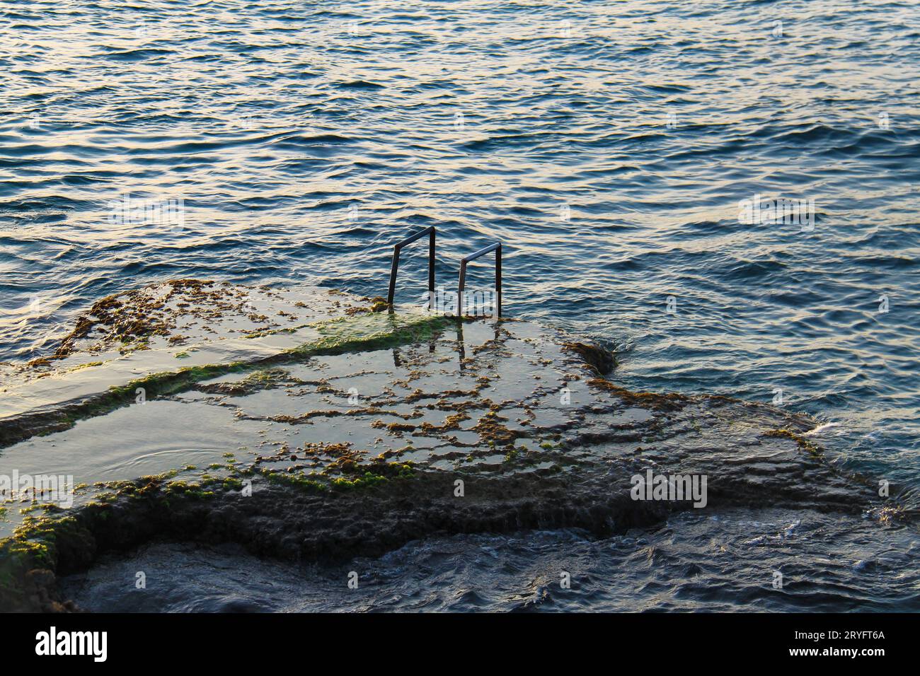 Ein mit Algen bedeckter Felsen im mittelmeer in Anfeh, Libanon. Stockfoto