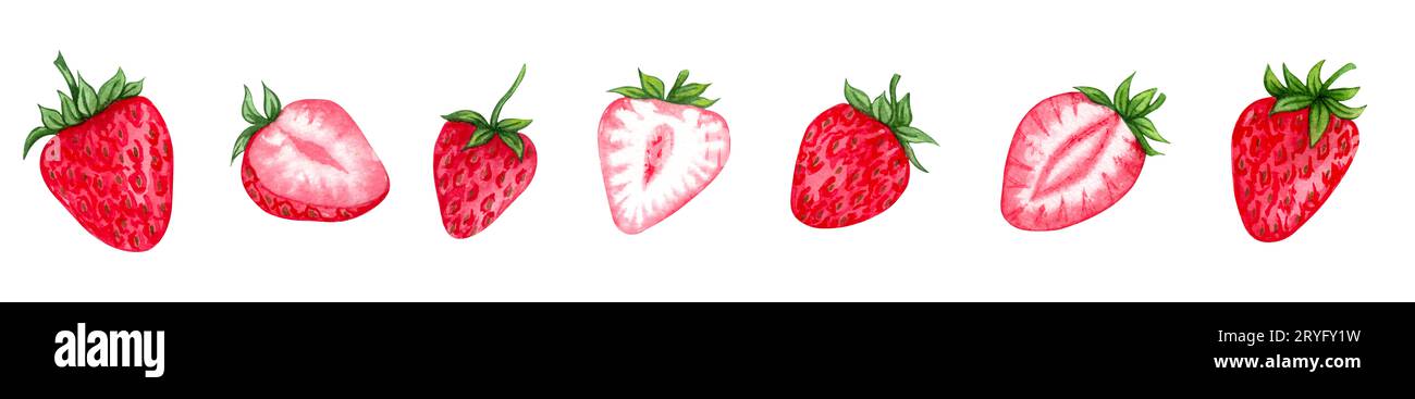 Erdbeeren in Aquarellfarben. Handbemalte Cliparts. Isoliert Stockfoto