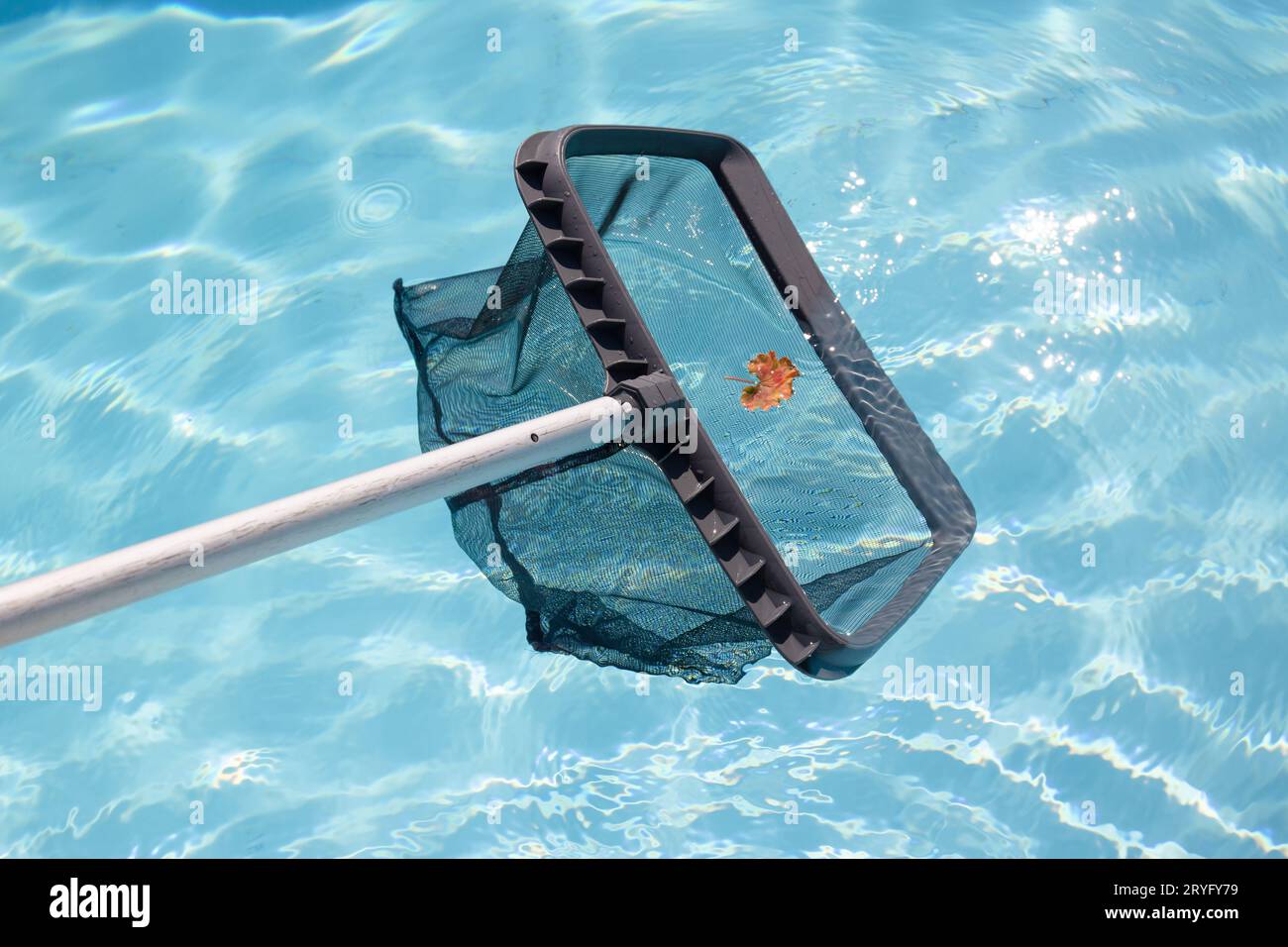 Reinigung und Wartung Schwimmbad mit Netz Skimmer Stockfoto