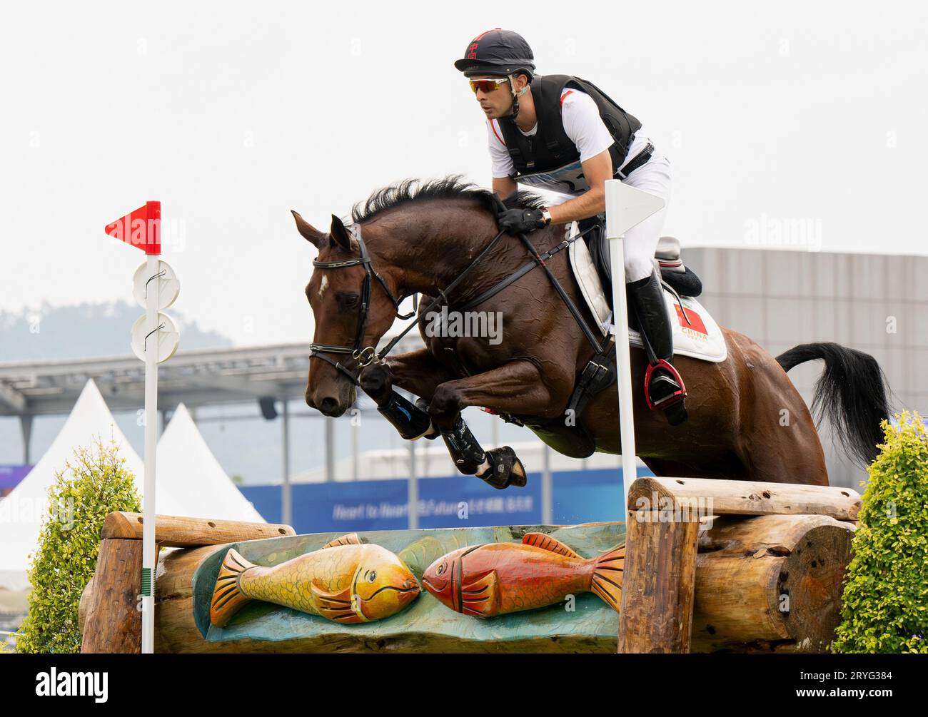 Hangzhou, chinesische Provinz Zhejiang. Oktober 2023. Hua Tian aus China tritt während des Eventing Cross Country Teams und Individuum des Reitsports bei den 19. Asiatischen Spielen in Hangzhou, Ostchinas Provinz Zhejiang, am 1. Oktober 2023 an. Quelle: Wei Peiquan/Xinhua/Alamy Live News Stockfoto