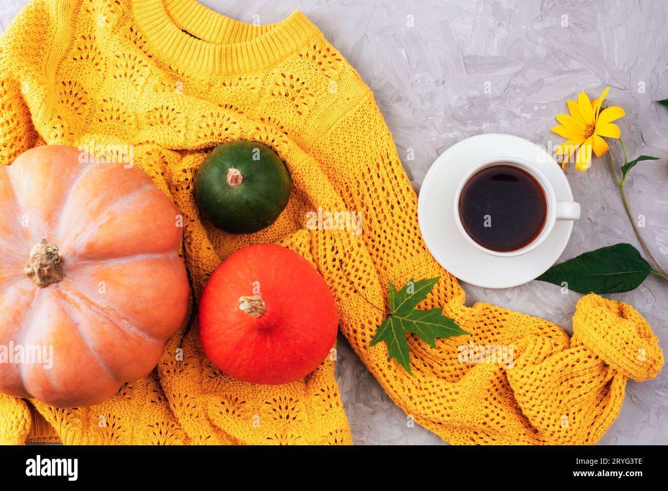 Herbstflachlage mit orangefarbenen und grünen Kürbissen und Kaffeetasse auf gelbem Pullover auf grauem Betonhintergrund. Draufsicht. Stockfoto