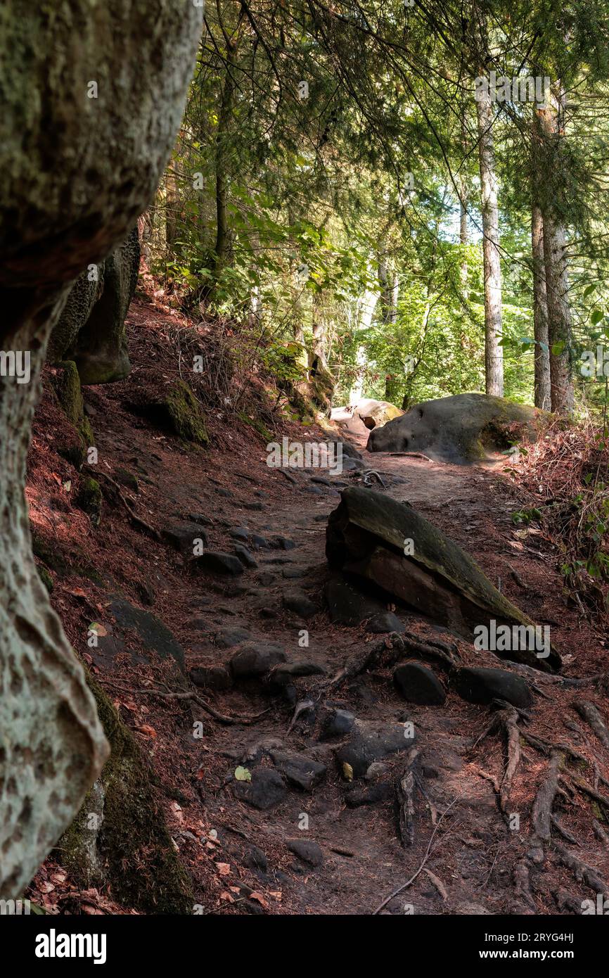 Felsformationen und Waldlandschaft in der Region Luxemburg-Müllerthal Stockfoto