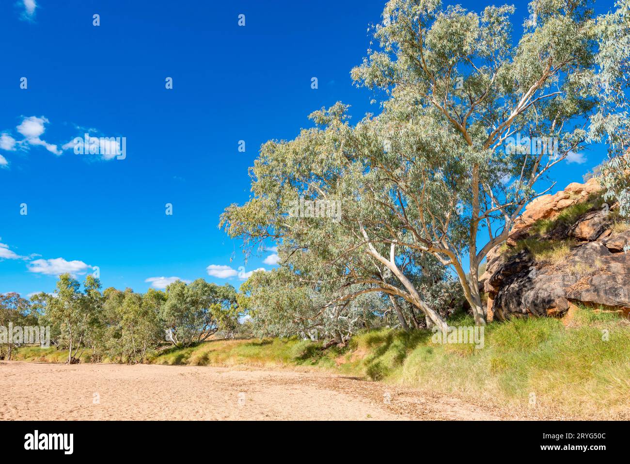 Der Todd River (Lhere Mparntwe) in der Nähe der alten Telegrafenstation in Alice Springs (Mparntwe) Northern Territory, Australien, ist zu 95 % des Jahres trocken Stockfoto