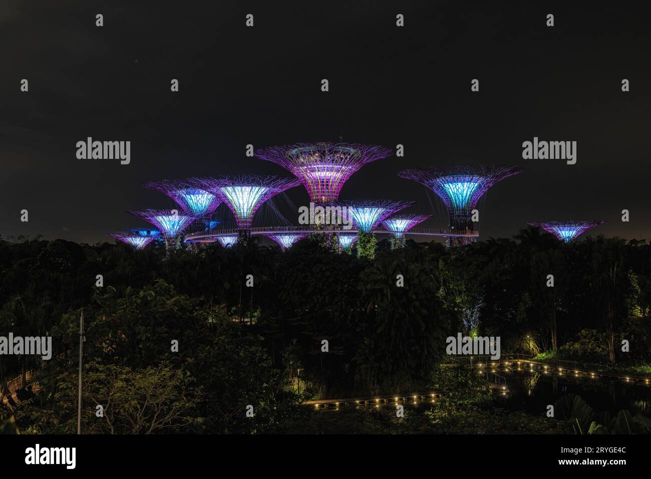 Gärten an der Bucht Superbaum-Lichtshow Stockfoto