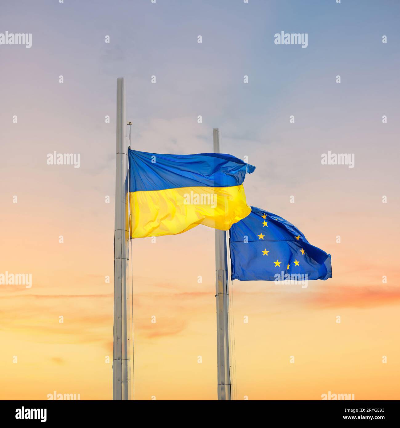 Flaggen der Ukraine und Europas Stockfoto