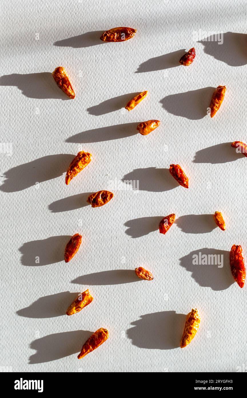 Rote Paprika oder Chili cayenne pfeffer auf weißem Hintergrund getrocknet Stockfoto
