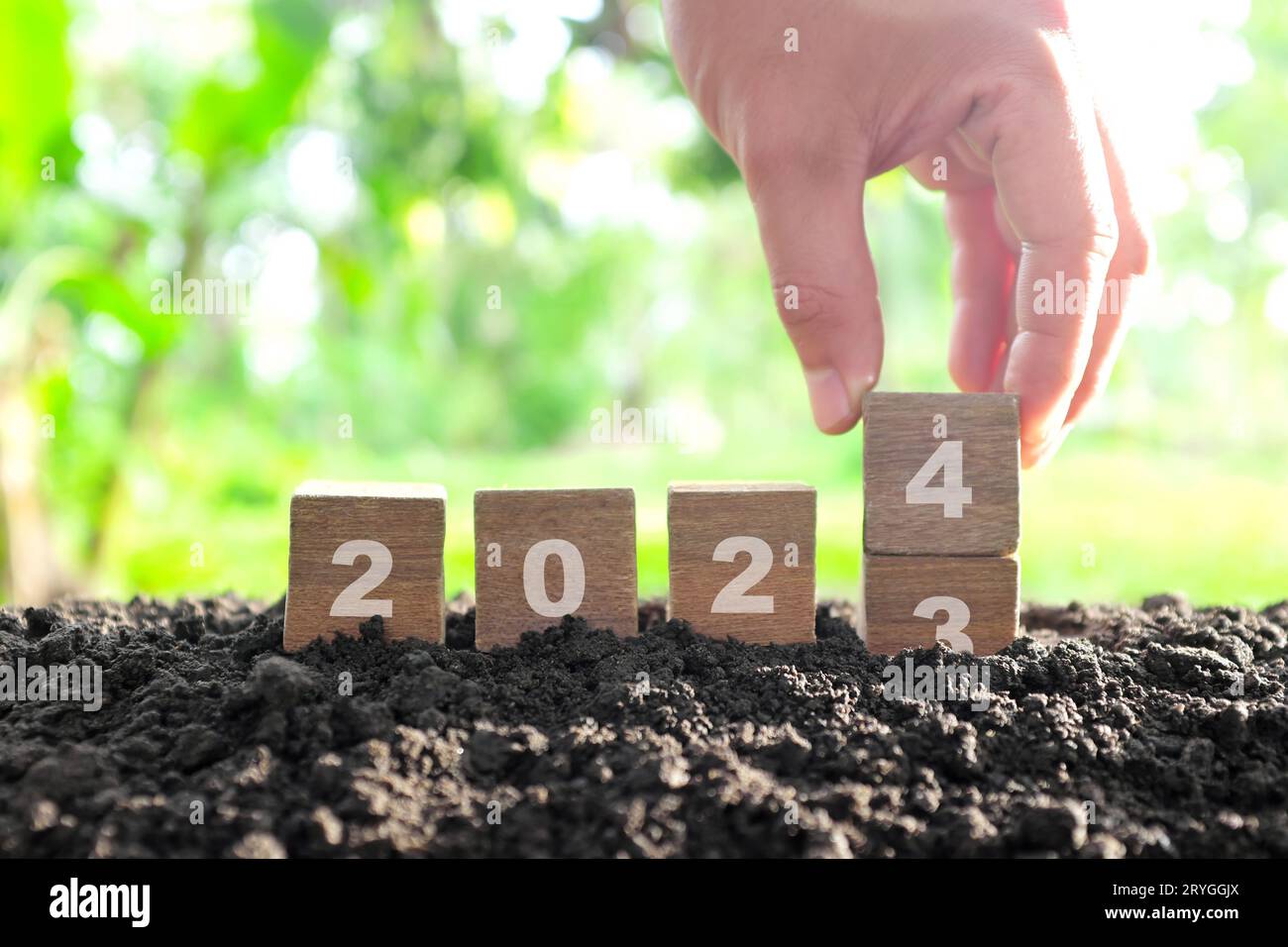 Menschliche Handwechsel Jahr 2023 bis 2024 in Holzblöcken mit wachsender Pflanze bei Sonnenaufgang. Willkommen zum neuen Jahr 2024 und auf Wiedersehen 2023. Stockfoto