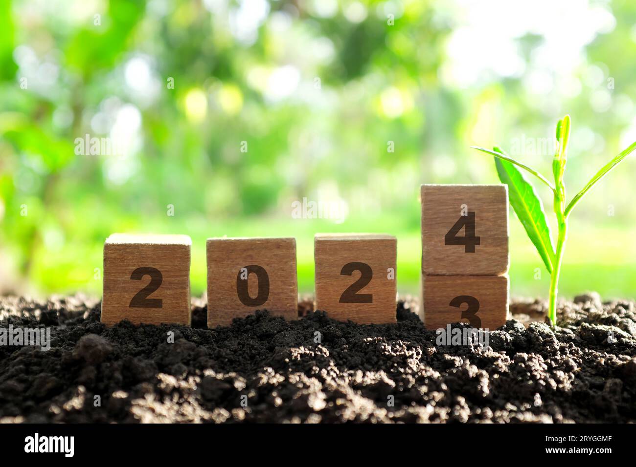 Menschliche Handwechsel Jahr 2023 bis 2024 in Holzblöcken mit wachsender Pflanze bei Sonnenaufgang. Willkommen zum neuen Jahr 2024 und auf Wiedersehen 2023. Stockfoto