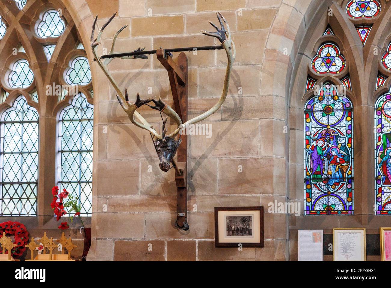 Eines der Rentierhörner ist in einem Rahmen in St. Nicholas’ Church.The Abbots Bromley Horn tanzt zu Beginn des Tages durch die Abbots Bromley. Der Tanz wird seit 1226 aufgeführt. Geweihe werden um 7:45 Uhr aus der örtlichen Kirche entfernt, gesegnet und die Tänzer führen dann ihre Tänze in lokalen Dörfern bis 20:00 Uhr auf, wenn wieder einmal das Geweih für ein weiteres Jahr weggesperrt wird. Das jährliche Ritual beinhaltet Rentiergeweihe, ein Hobbypferd, Maid Marian und einen Narren. Stockfoto