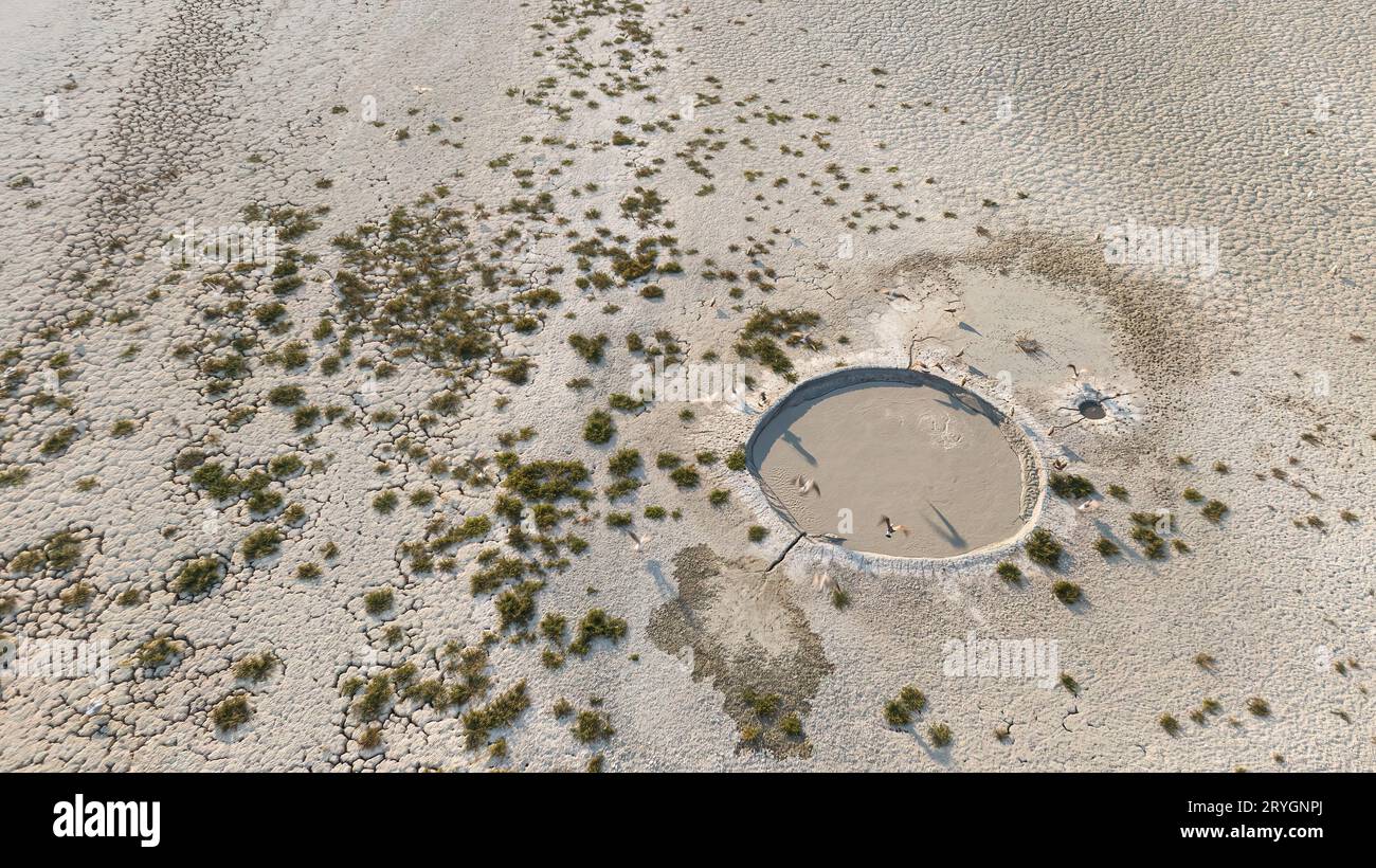 Wasser und grüne Pflanzen, trockene Böden, die im Gebiet des getrockneten Sees verbleiben. Stockfoto