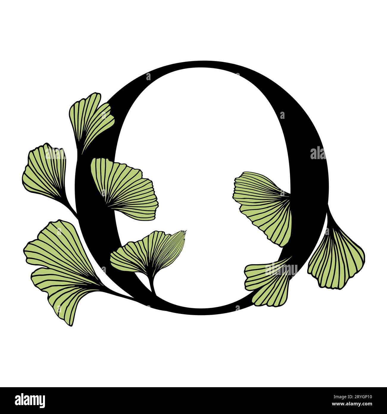Ginkgo biloba hinterlässt das Alphabet O. Abzeichen und Ikone im trendigen linearen, handgezeichneten Stil. Vector Logo Emblem Brief und Ginkgo Zweig. Abbildung für cosme Stock Vektor