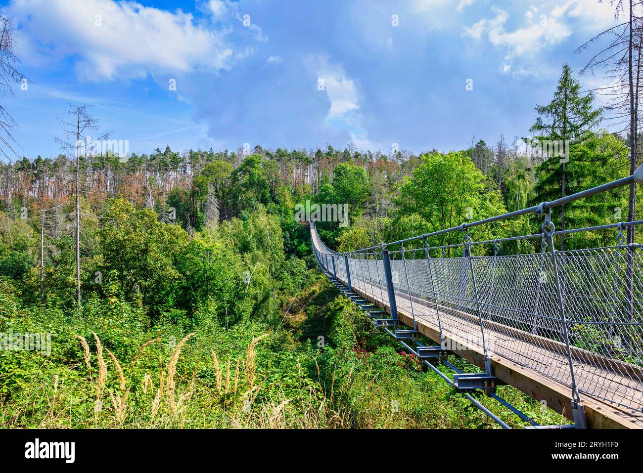 Blick auf die Hängebrücke hohe Schrecke Stockfoto