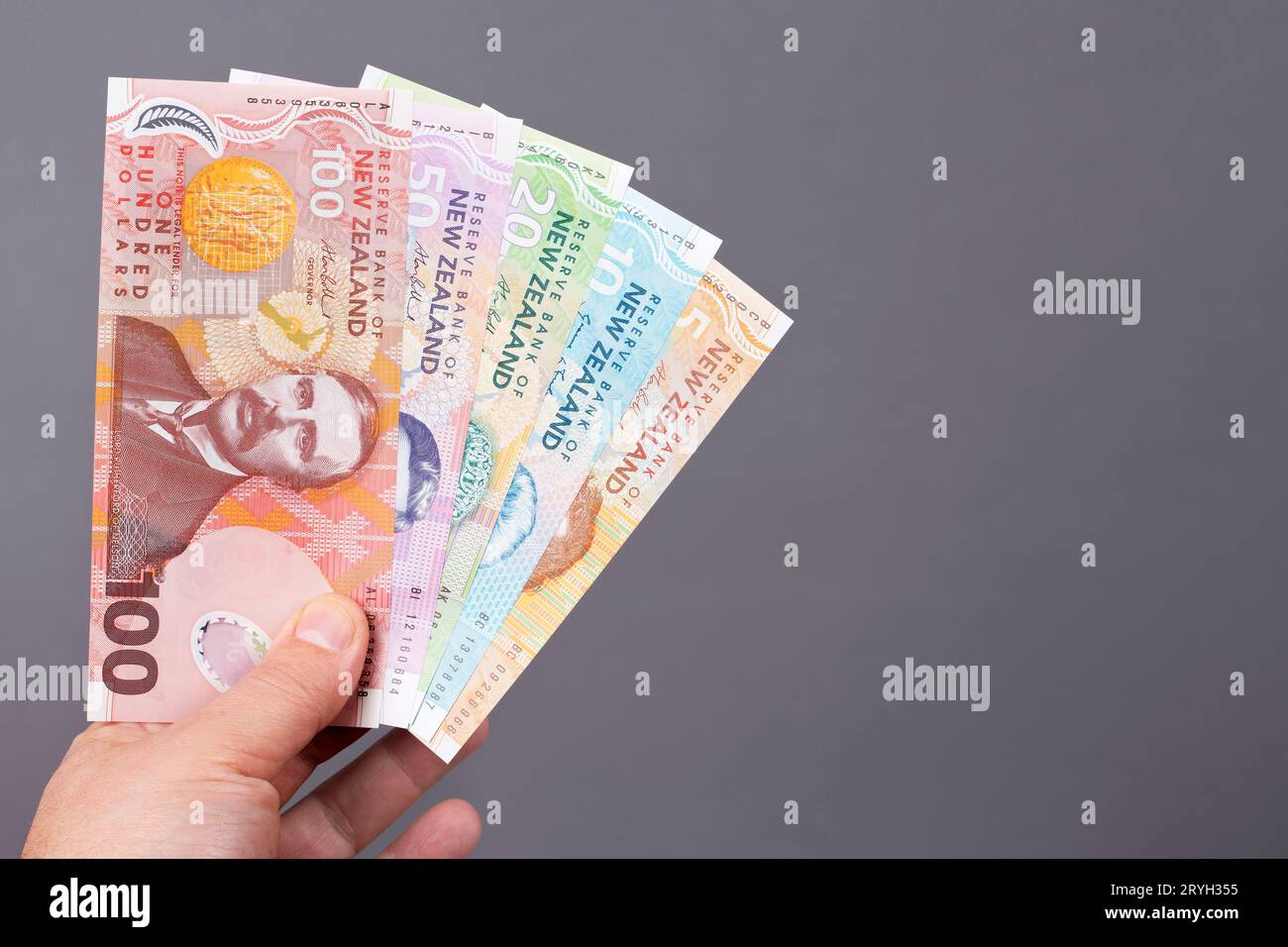 Neuseeländisches Geld in der Hand auf grauem Hintergrund Stockfoto