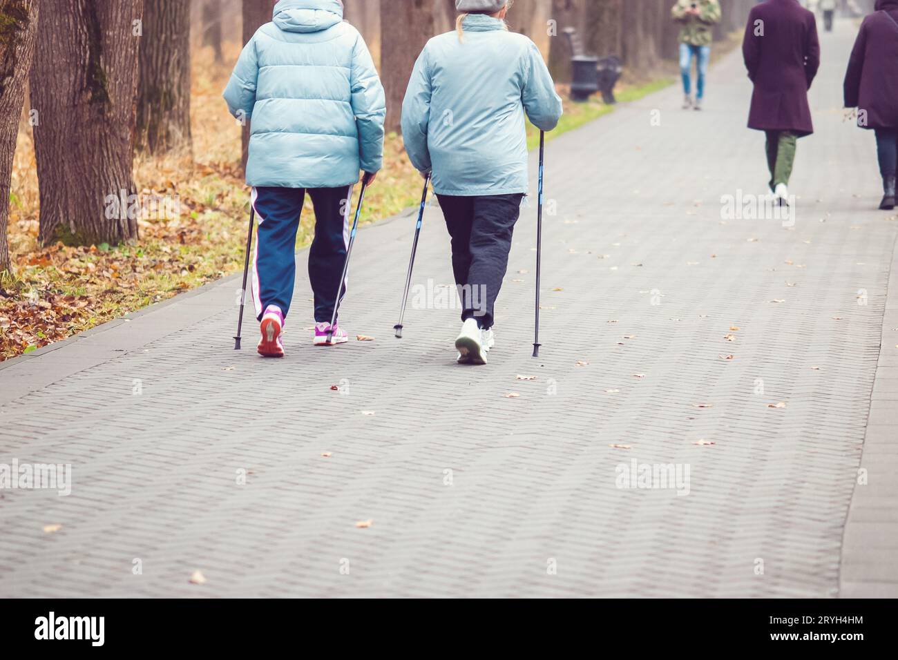 Pole Walking im Herbst, Seniorinnen trainieren im öffentlichen Park Stockfoto