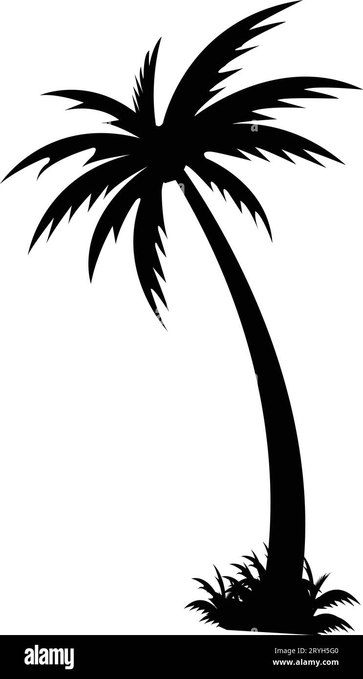 Tropische Palme und Blattsilhouette. Schwarze Palme. Gestaltung von Palmen für Plakate, Banner sowie Werbe- und Dekorationsartikel. Vektor Stock Vektor