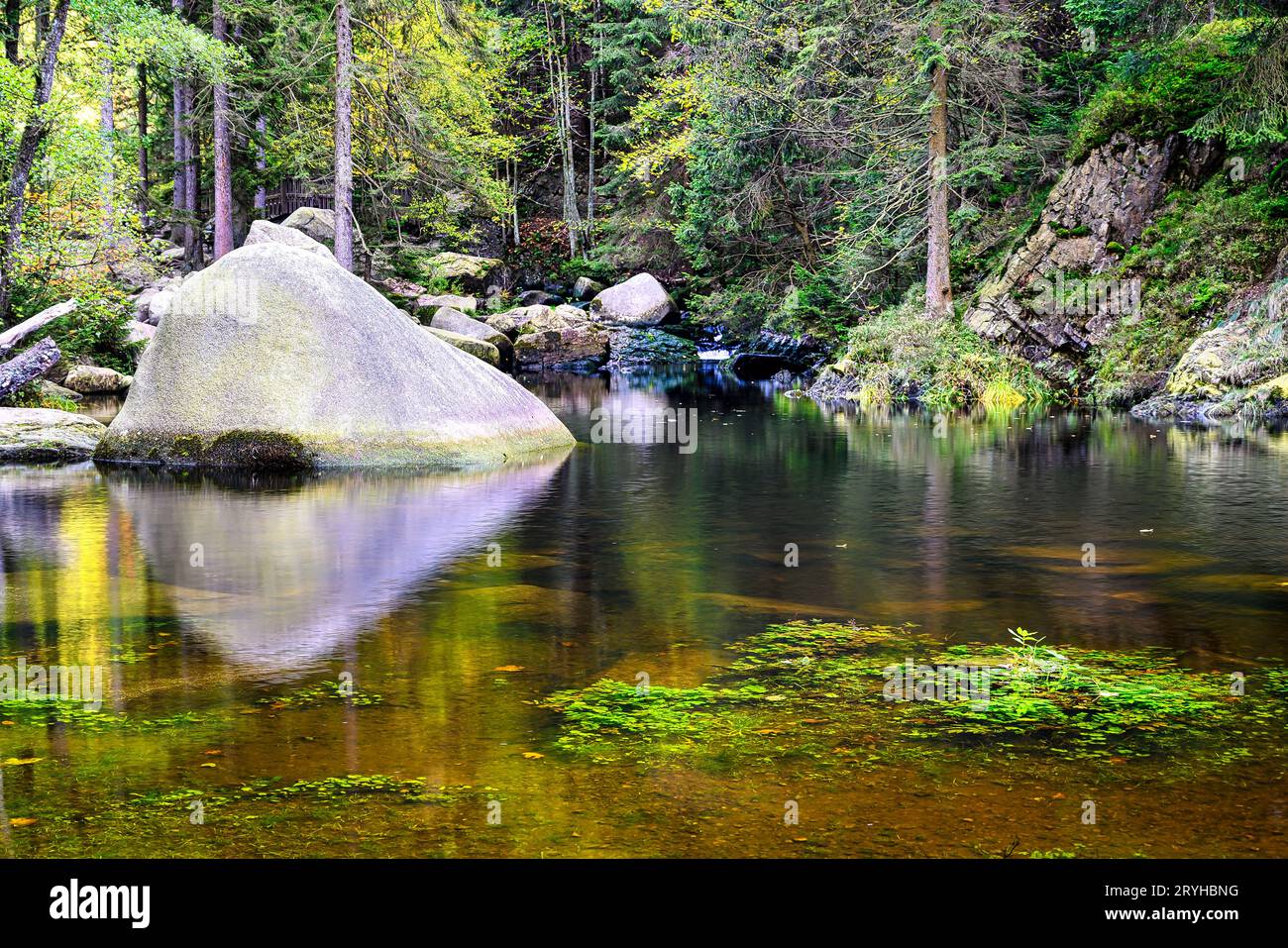 Steine im Flussbett auf der Insel Engagement, Oker, Harz, Deutschland Stockfoto