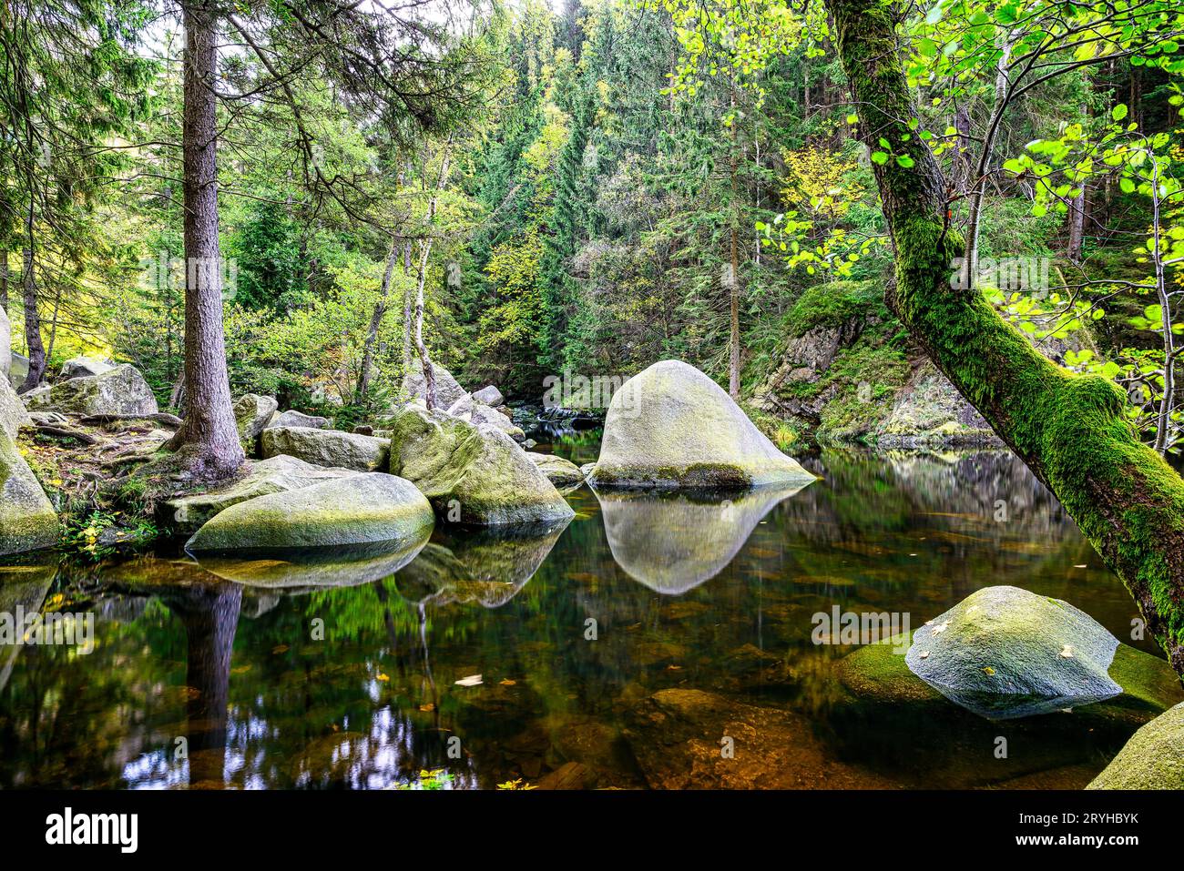 Friedliche Szene mit großen Steinen im Flussbett der Verlobungsinsel in der Oker Stockfoto