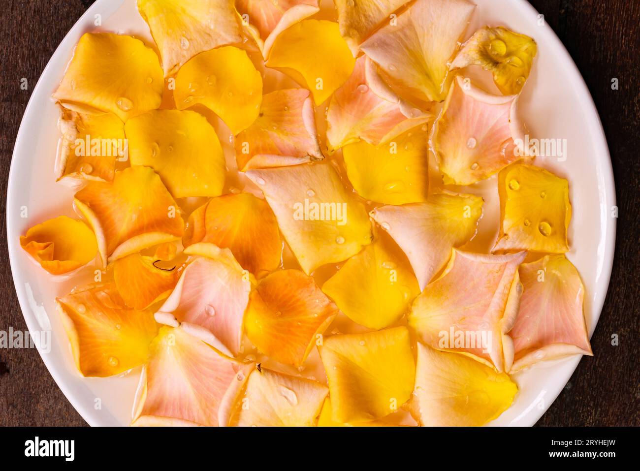 Blick von oben auf farbenfrohe Rosenblüten, die auf der Oberfläche des klaren Wassers in der weißen Keramikschale schweben. Stockfoto