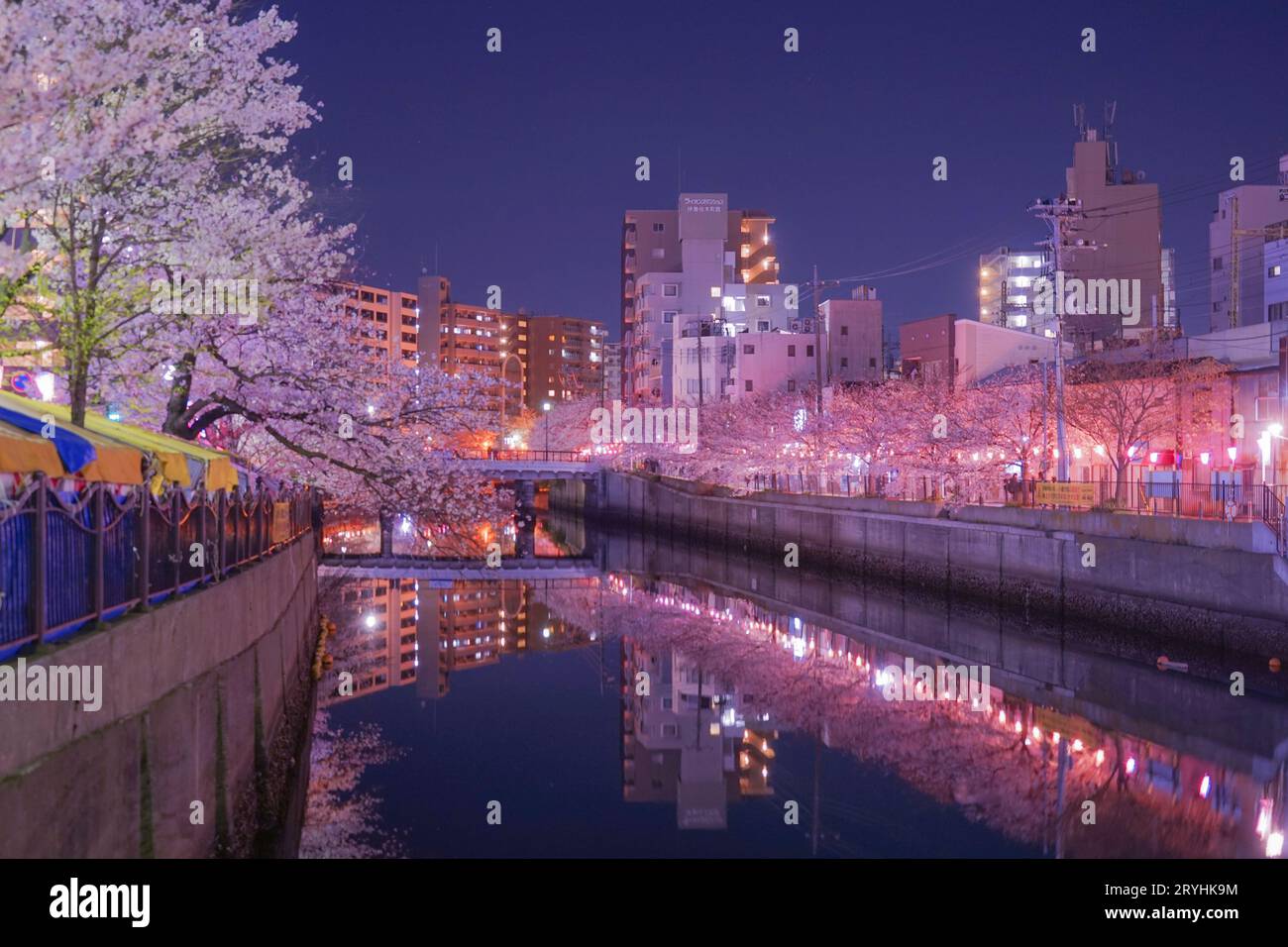 Von gehen, um Kirschblüten in der Nacht Ooka Fluss zu sehen Purobunado Stockfoto