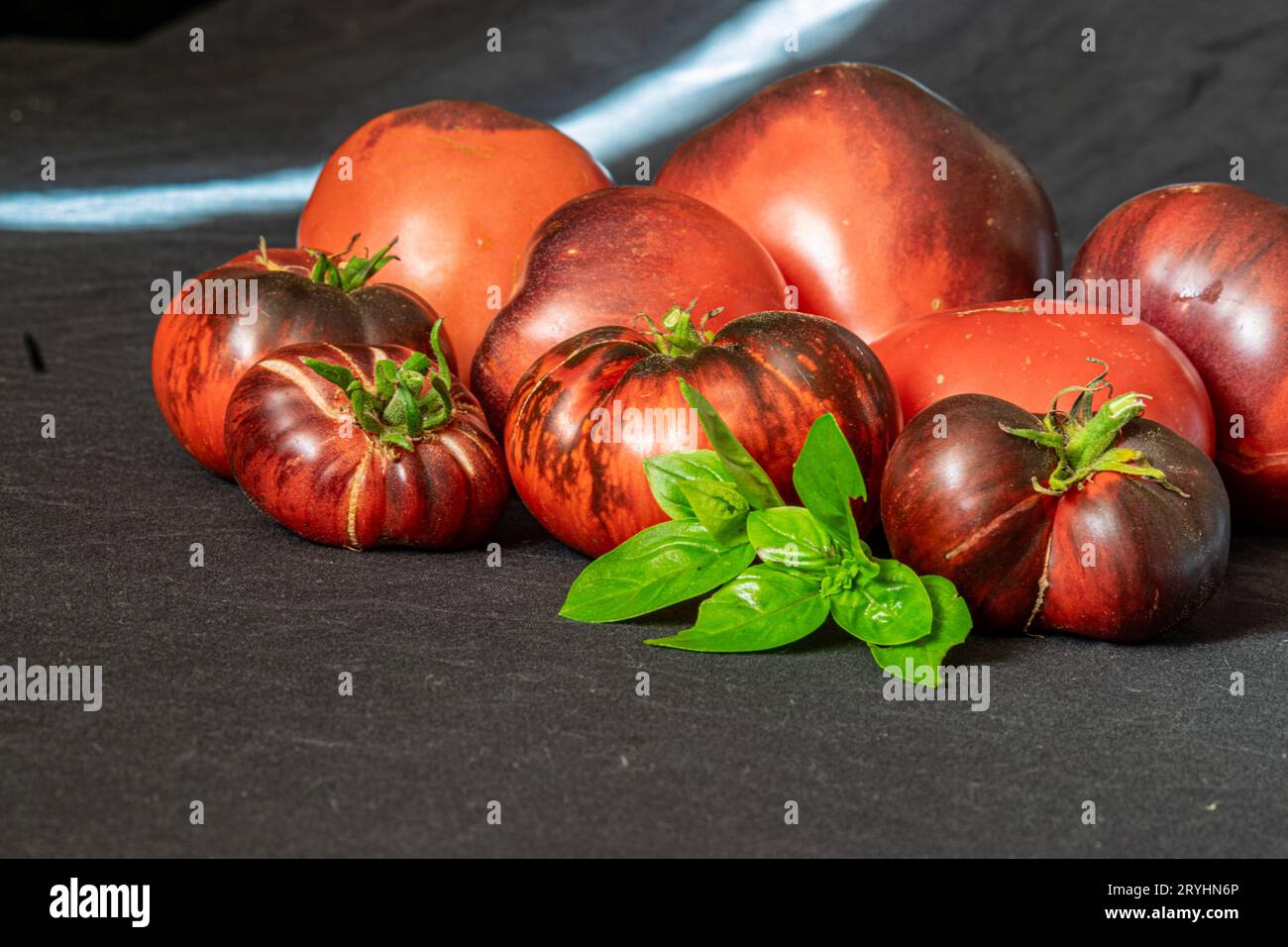 Bunte, saftige, gesunde Tomaten auf dunklem Hintergrund, leckere und gesunde Ernährung, für Vegetarier geeignet Stockfoto