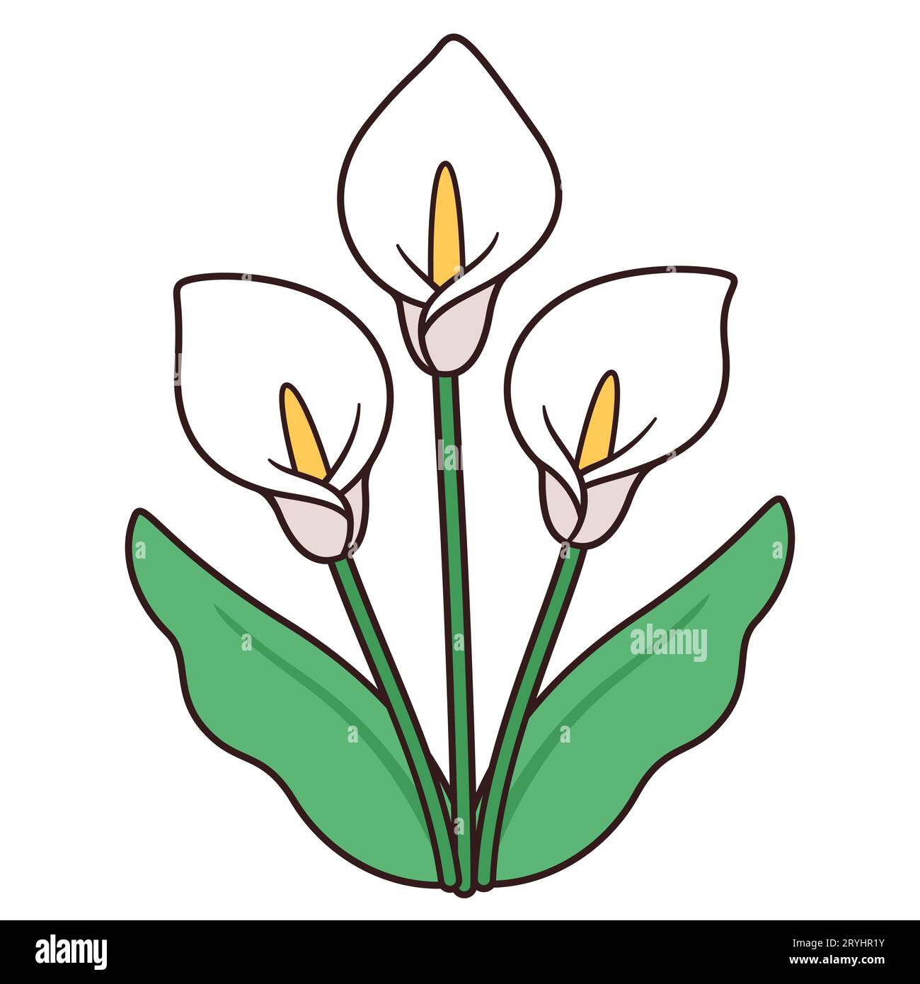 Calla Lily Blumenstrauß Zeichnung, einfaches und elegantes Design. Drei weiße Lilien mit Blättern, isolierte Vektorillustration. Stock Vektor
