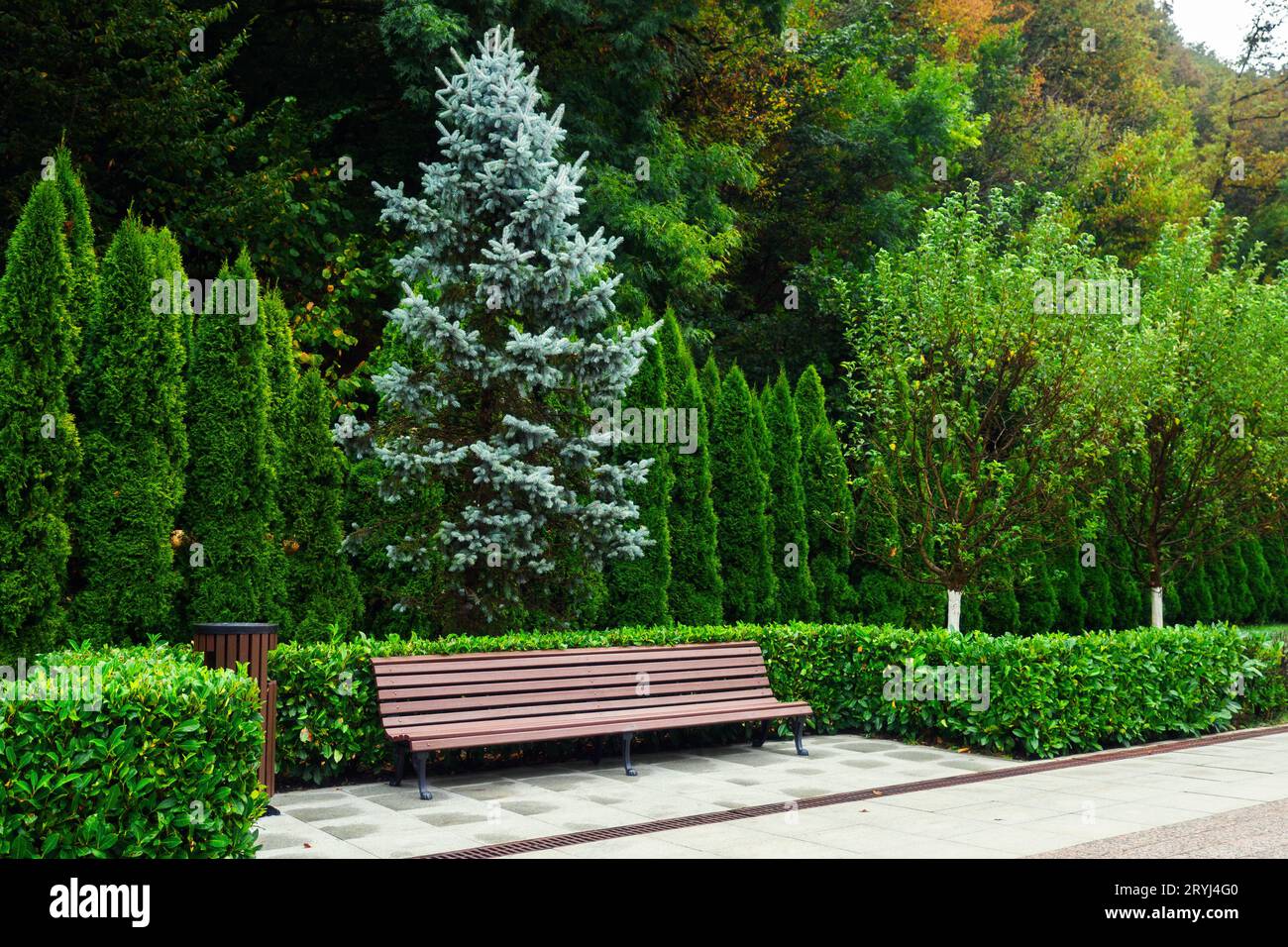 Leere Holzbank zum Ausruhen unter grünen Bäumen. Wunderschöner Ruheplatz im Park. Wandergebiet im Resort. Sommertag. Stockfoto