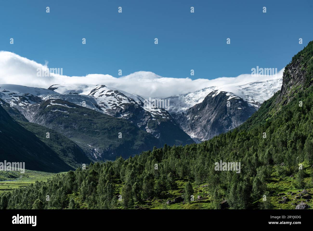Blick ins Tal langedalen zum Gletscher Jostedalsbreen, Norwegen Stockfoto