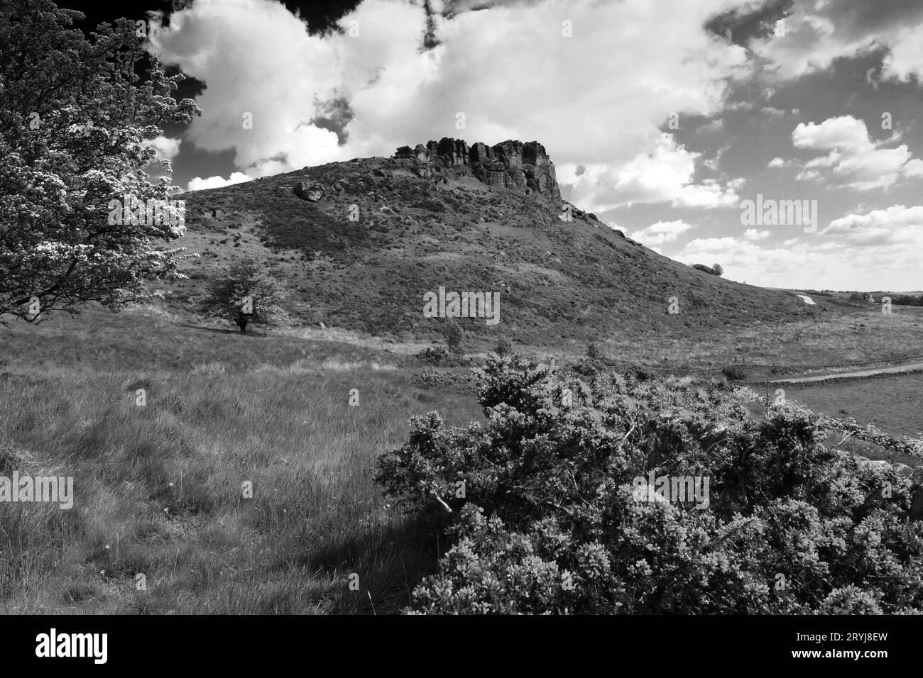 Blick auf den Hen Cloud Rock, die Roaches Rocks, Upper Hulme, Staffordshire, England, UK Stockfoto