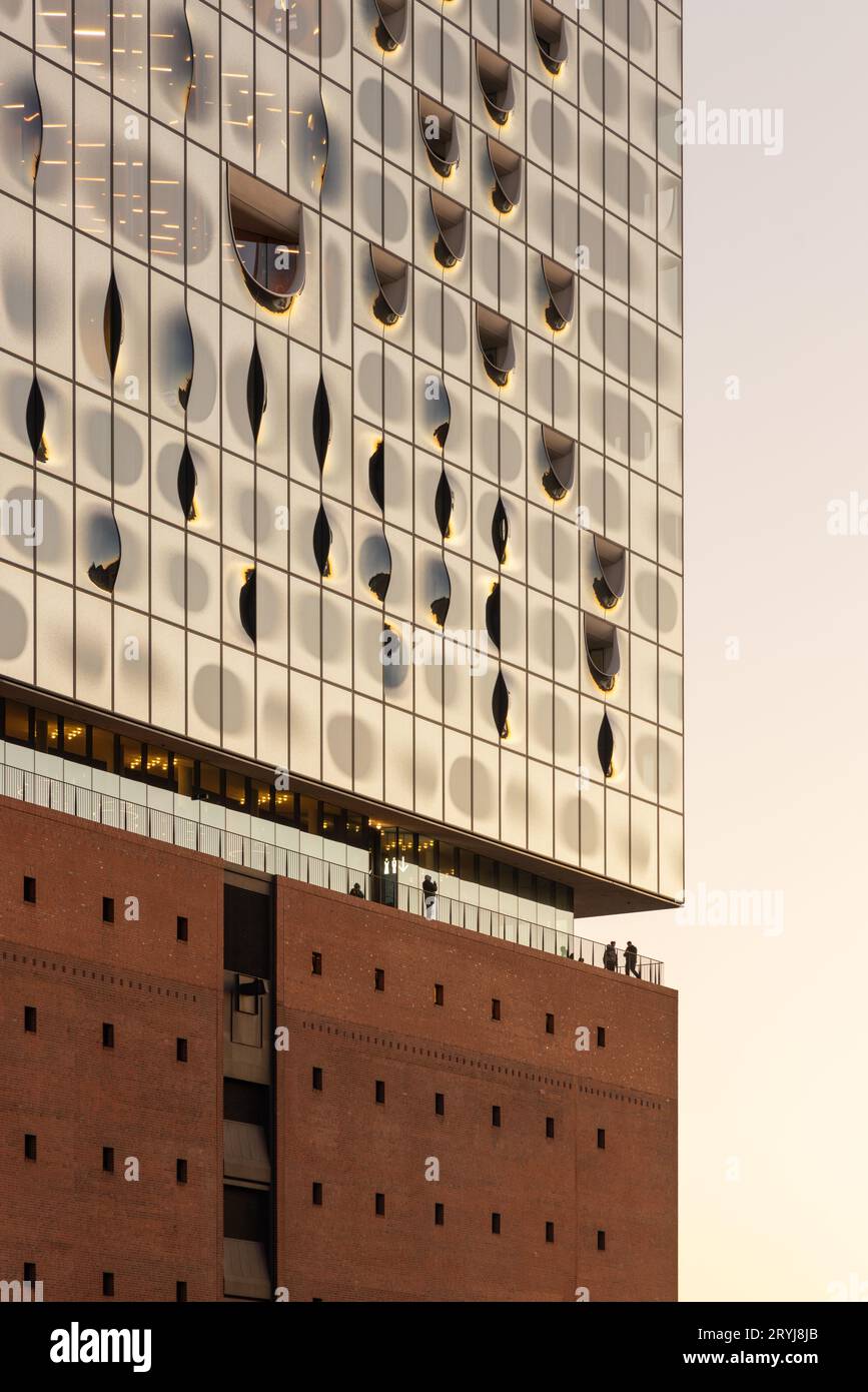 Elbphilharmonie Hamburg Konzertsaal entworfen von Herzog und de Meuron Stockfoto