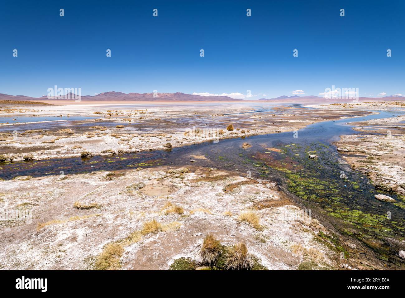 Wüstenlandschaft des bolivianischen altiplano Stockfoto