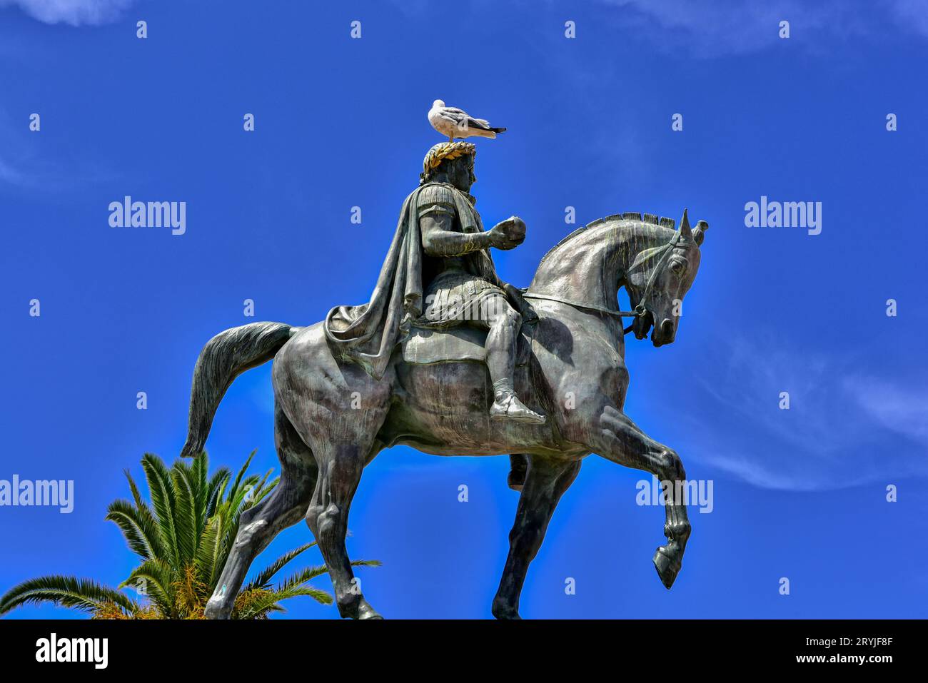Vogel landete auf der 1865 eingeweihten Reiterstatue Napoleons I. im Denkmal für Napoleon und seine Brüder in Ajaccio, Korsika, Frankreich Stockfoto