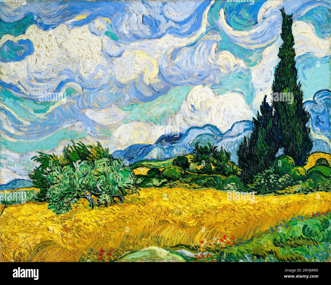 Vincent Van Goghs Weizenfeld mit Zypressen Stockfoto
