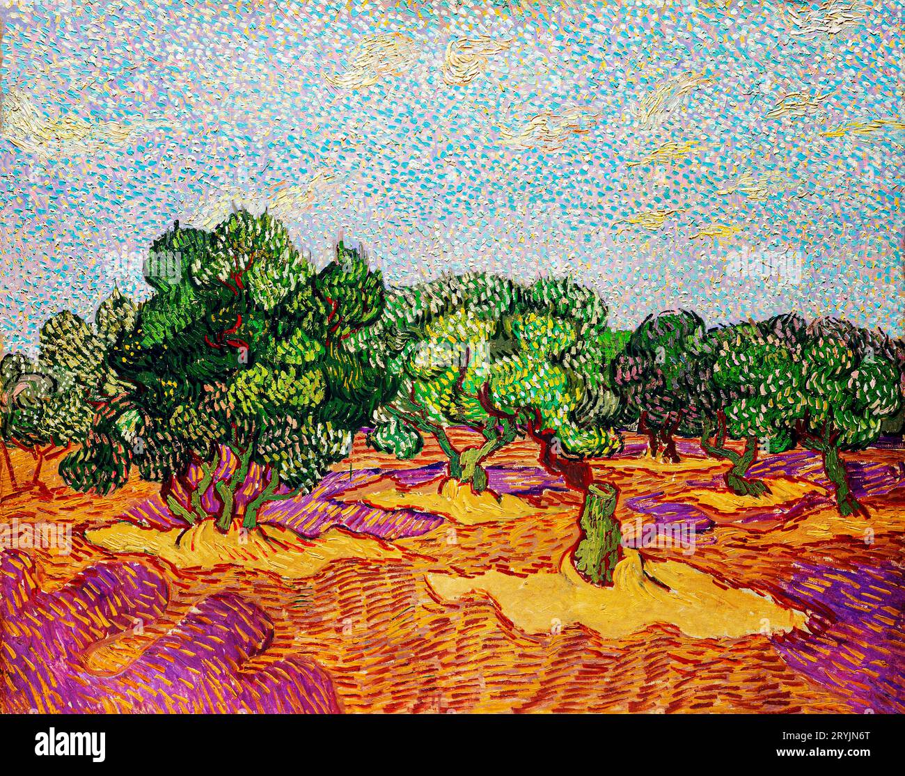 Olive Trees (1889) von Vincent Van Gogh. Stockfoto