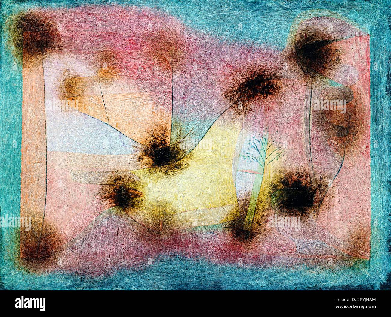 Hardy Plant Paul Klee. Stockfoto