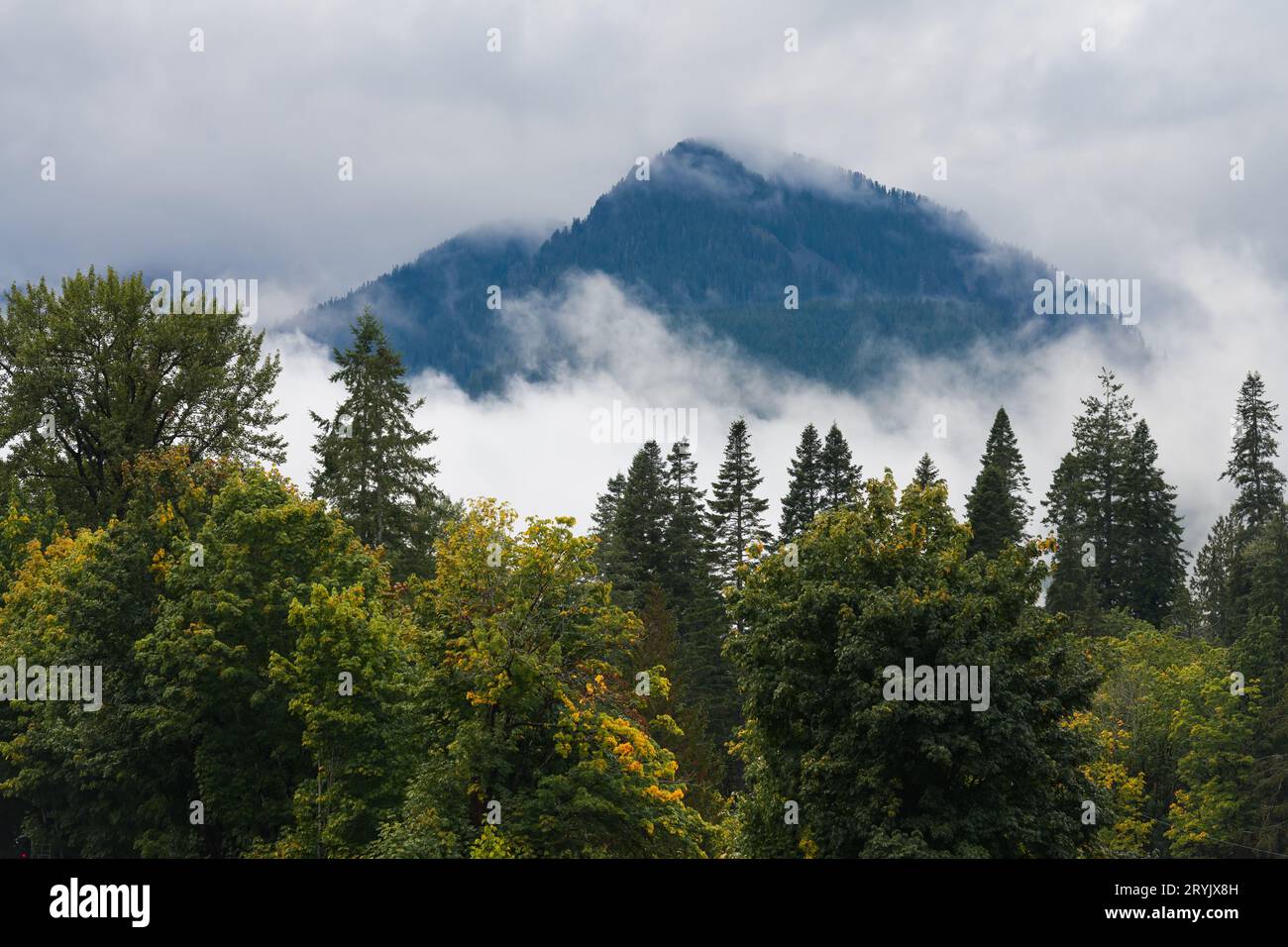 Frühe Herbstfarbe zwischen wolkenumhüllten Bergen im Pazifischen Nordwesten Stockfoto
