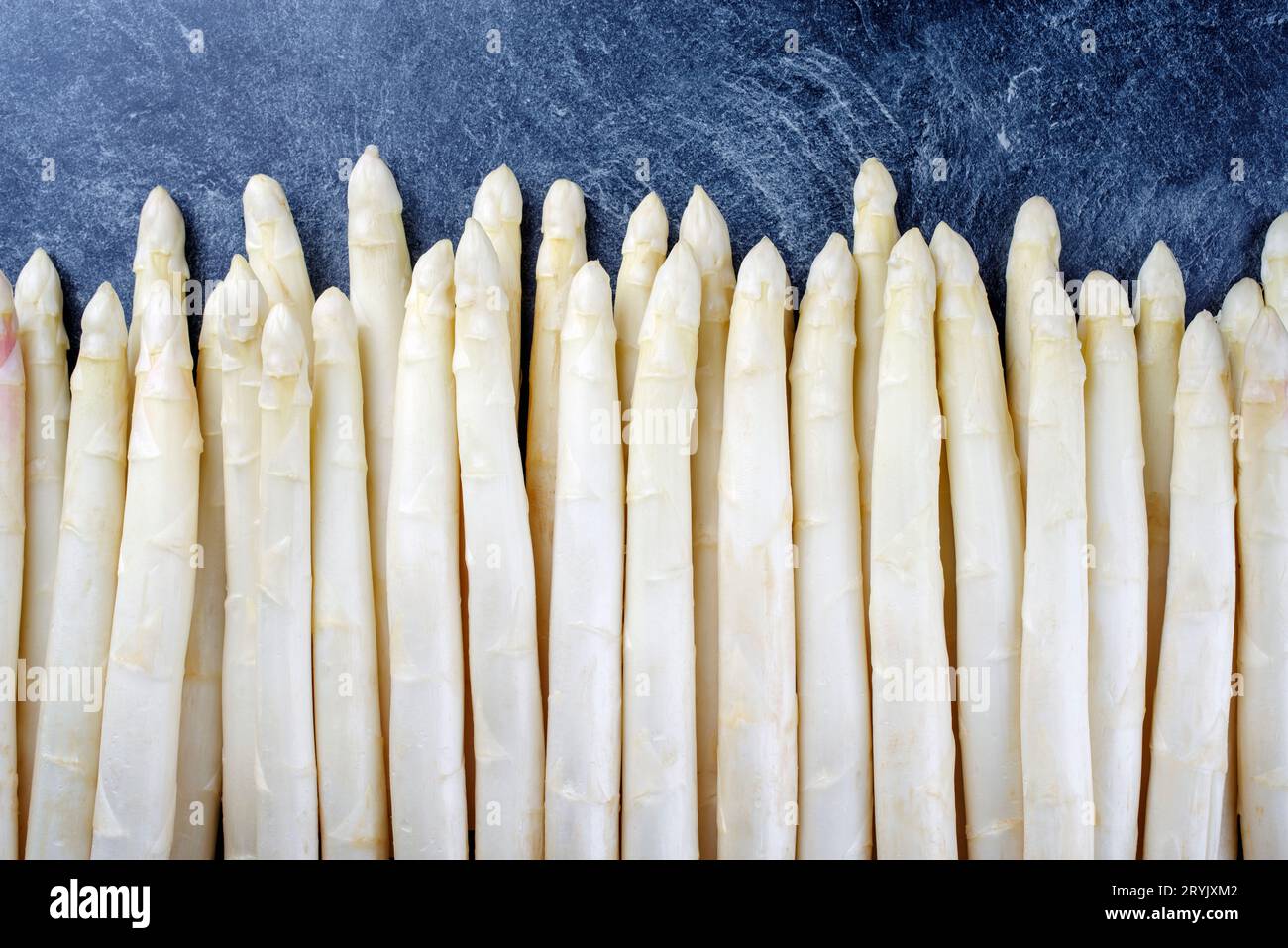 Roher weißer Spargel, der in einer Reihe als Nahaufnahme mit kopiertem Platz oben auf grauem Hintergrund dargestellt wird Stockfoto