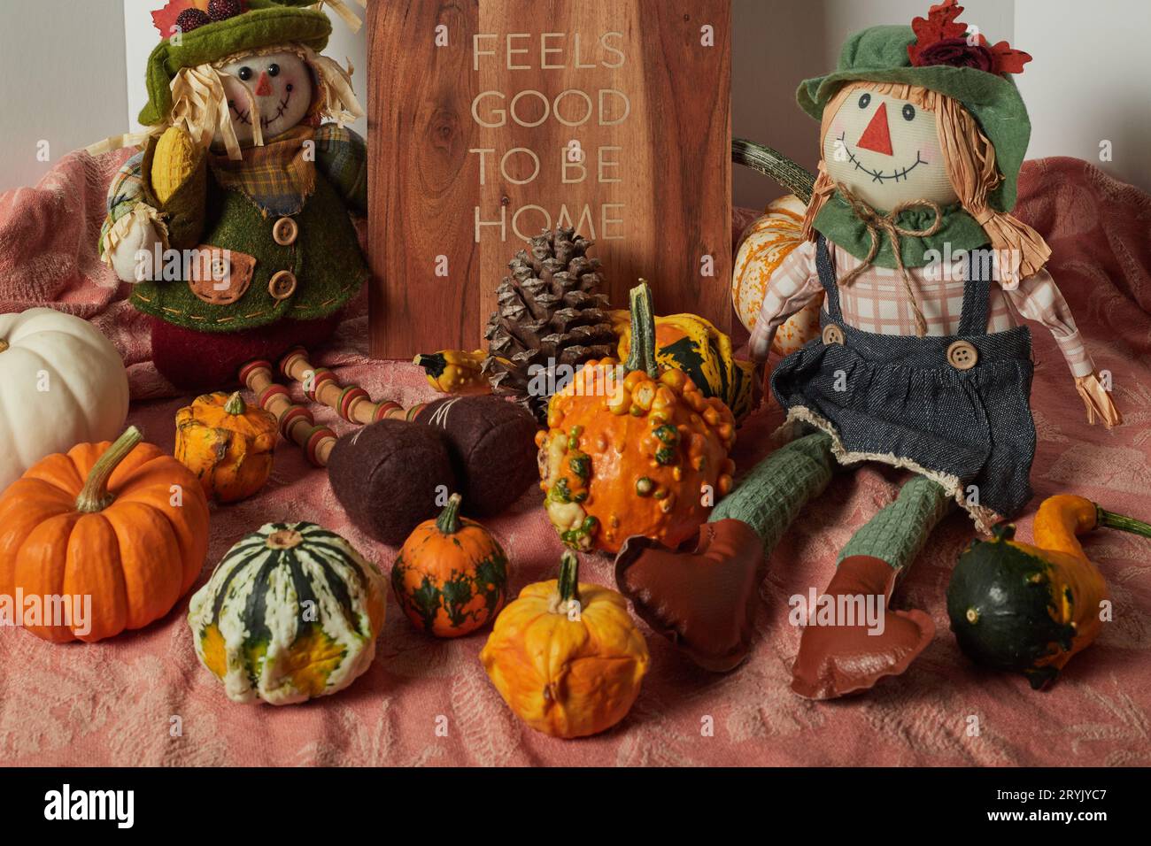 Happy Thanksgiving, es fühlt sich gut an, zu Hause zu sein, Kürbisse und Vogelscheuchen!!! Stockfoto