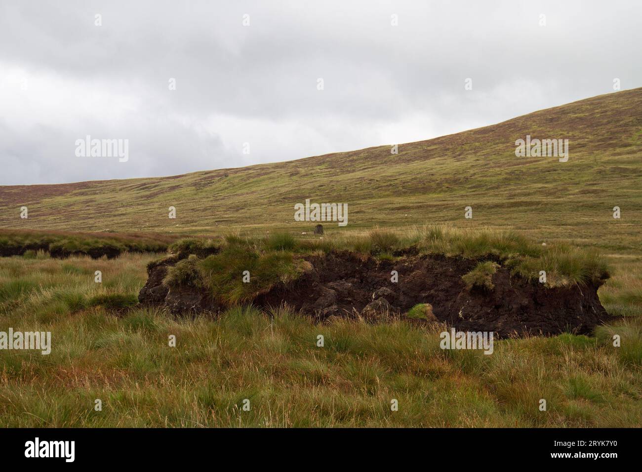 Letzter Überrest einer ausgegrabenen Torfschicht im Moorland in den Comeragh-Bergen, Irland Stockfoto