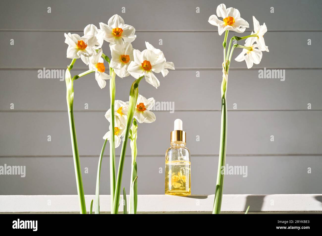 Ein Serum mit gelben Blütenblättern mit frischen Narzissenblüten. Stockfoto