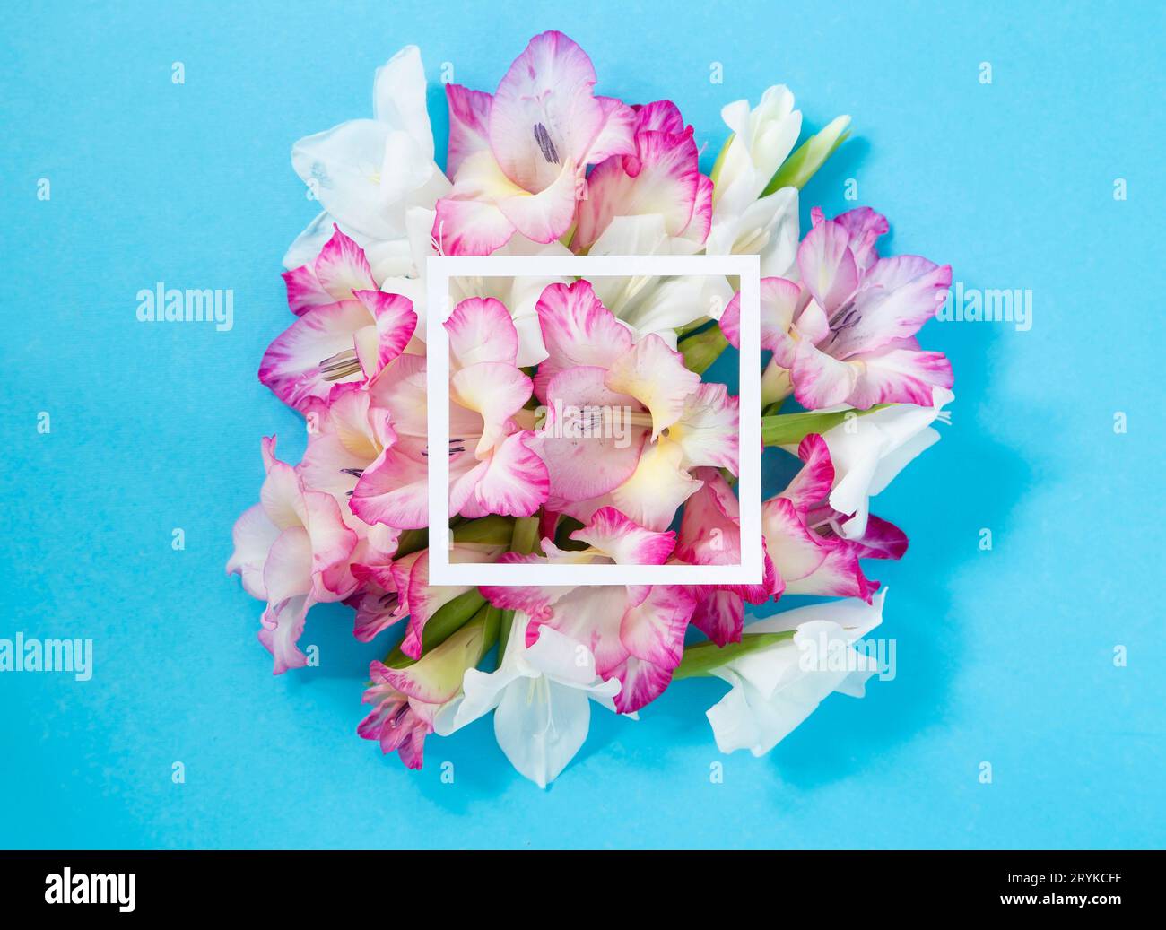 Blumenkomposition mit Kopierraum Stockfoto