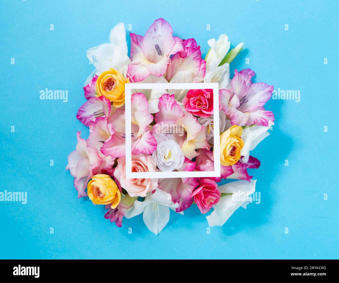 Blumenkomposition mit Kopierraum Stockfoto