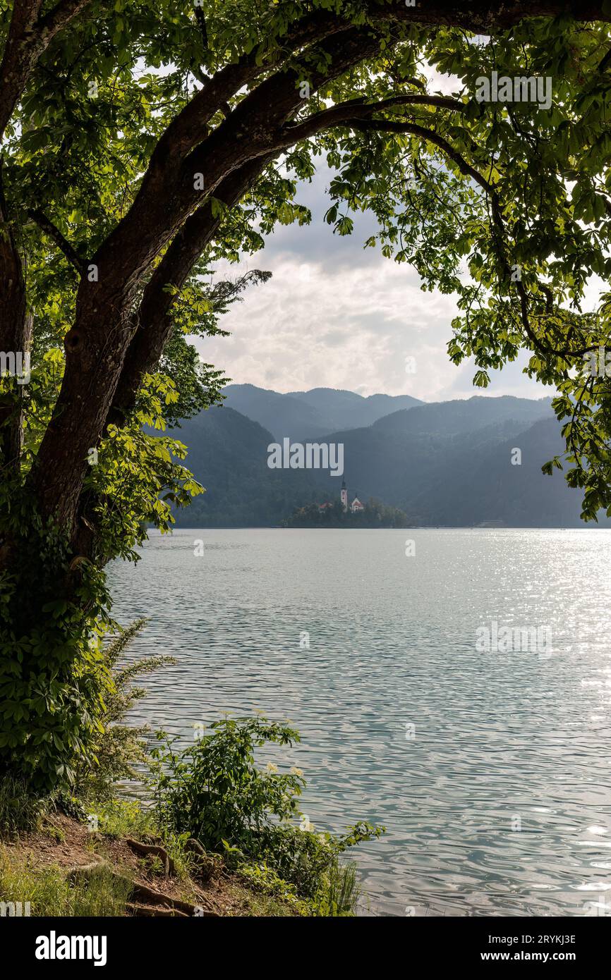 Blick vom Bleder See in den slowenischen alpen Stockfoto