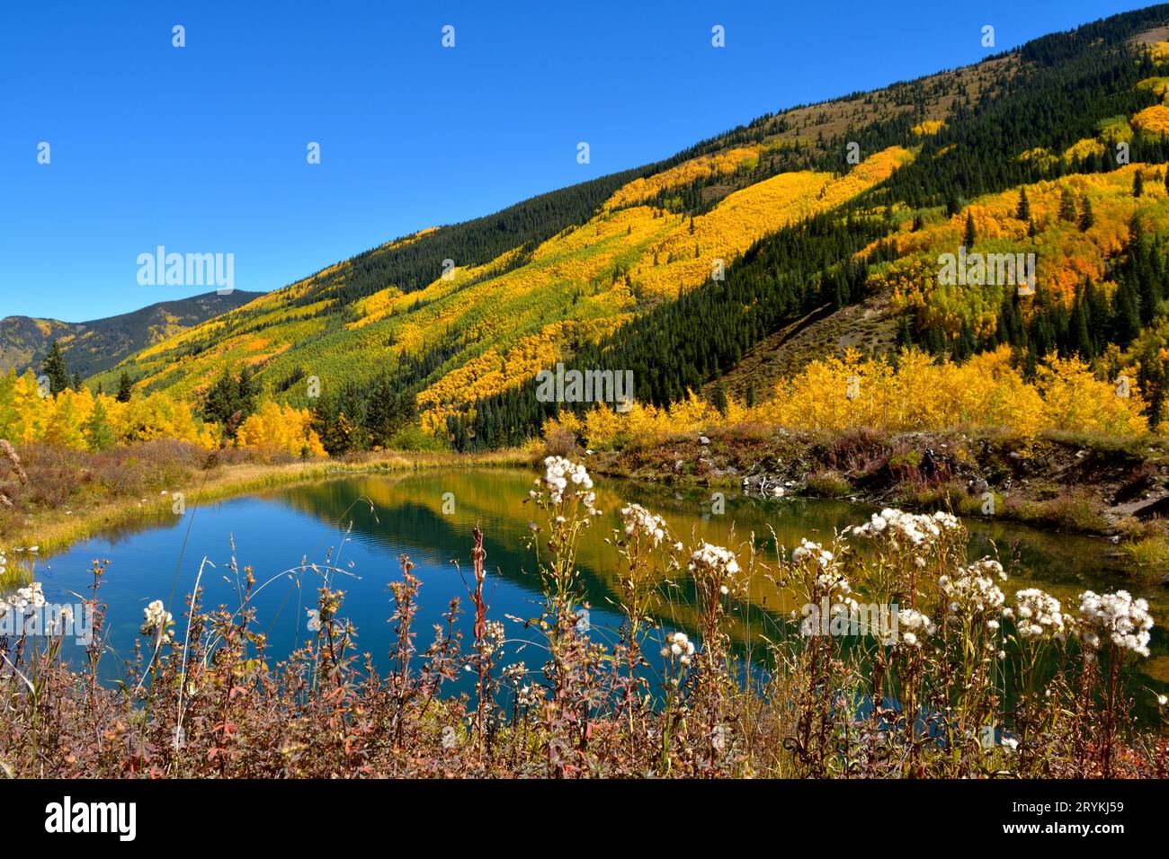 Teich im Herbst am Pearl Pass in der Nähe von Aspen Stockfoto