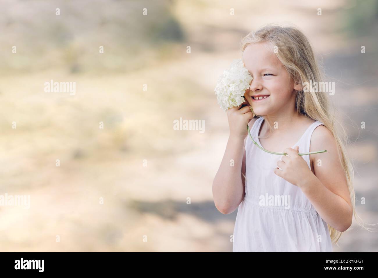 Porträt eines jungen schönen Mädchens, das einen Teil ihres Gesichts hinter einer Hortensie versteckt und lächelt. Horizontaler Rahmen. Stockfoto