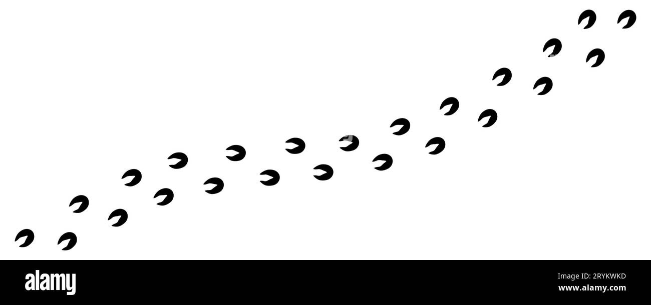 Pferdebahnen. Fußabdrücke von Pferden, Kühen, Ziegen, Schafen, Hirschen, elk, Antilope, Schwein. Artiodactylhufe. Die Spur des wilden Pferdes. Silhouette. Vektor isoliert. Tierhandlung Print Textil Spiel Postkarte Zoo Stock Vektor