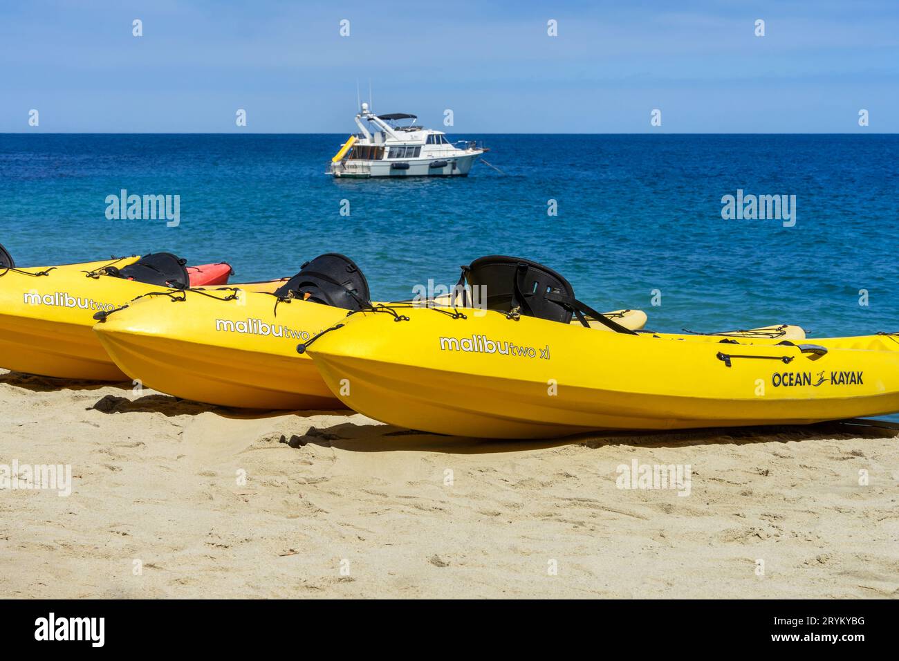 Avalon, CA, USA - 13. September 2023: Eine Gruppe von Malibu Two XL Kayak von Ocean Kayak an einem Strand auf Catalina Island in Kalifornien. Stockfoto