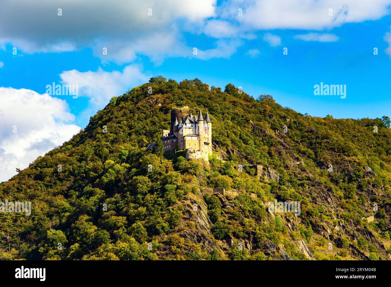 Romantische Schlösser am Rhein Stockfoto