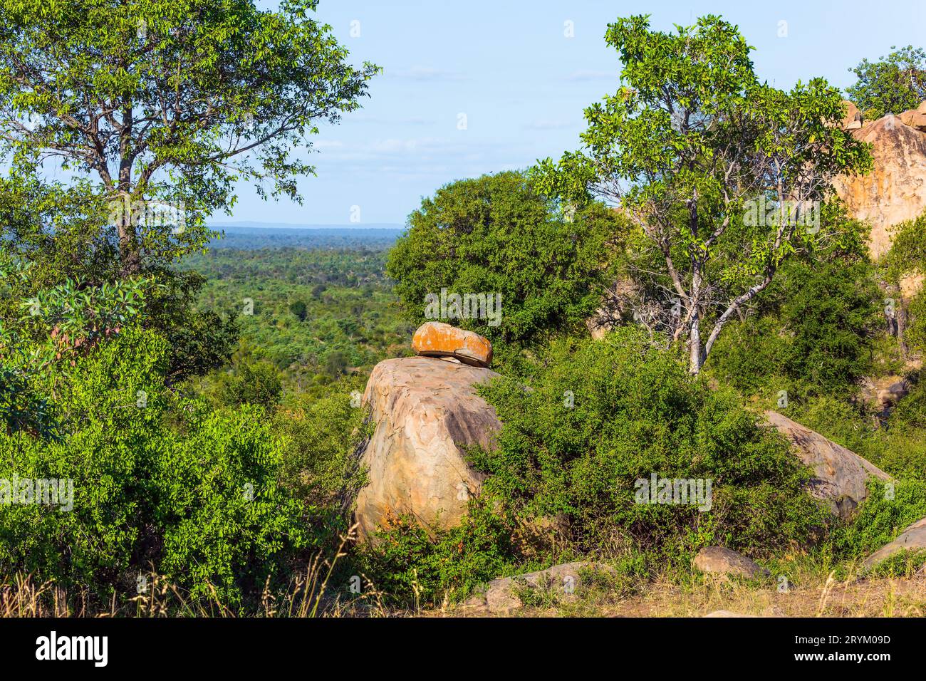 Afrikanisches Buschveld - Hügel Stockfoto
