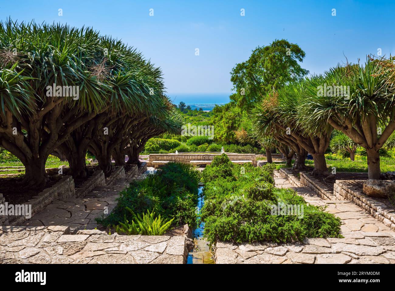 Der Berg Karmel in Israel Stockfoto