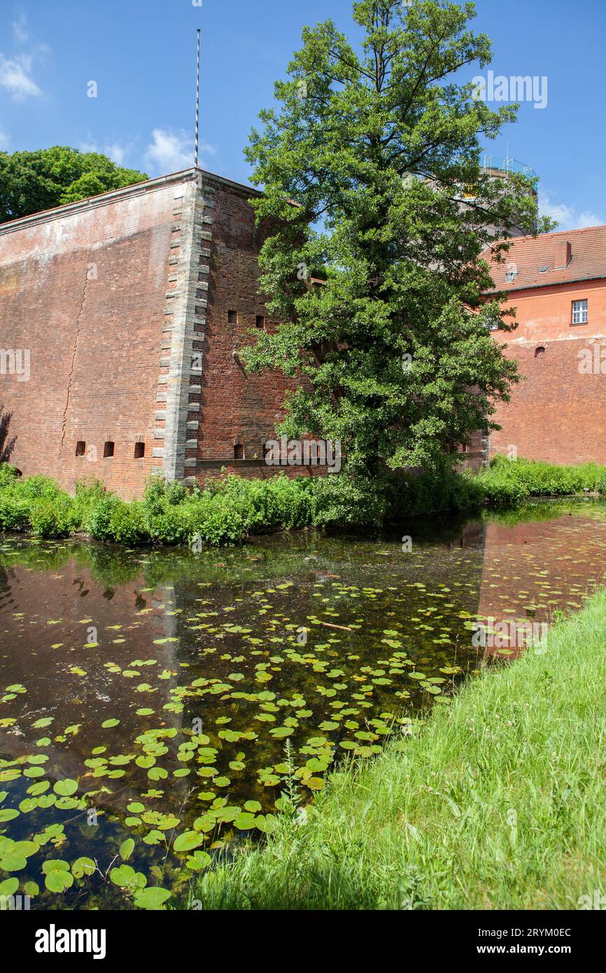 Spandau Zitadelle/Zitadelle, Berlin, Deutschland Stockfoto